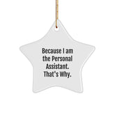 Funny Personal Assistant Star Ornament Gifts from Men to Personal Assistants Because I Am The Personal Assistant. That's Why. Christmas Unique Gifts - Image 1